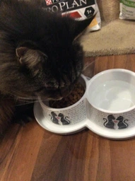 Двойная миска для котов Moderna Double Trendy Dinner Cats in Love 2х350мл (H136027CL) фото от покупателей 2