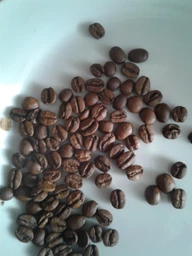 Кофе в зернах Trevi Арабика Mocha Yemen 100 г