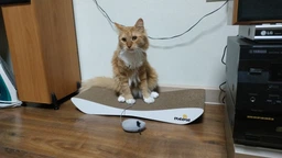 Когтеточка-лежанка Dream Say Meow - 57х24х7см