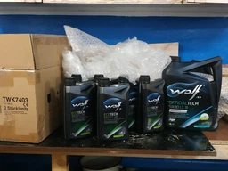 Трансмиссионное масло Wolf EcoTech DSG Fluid 1 л (8308604)