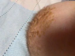 Дитячий регулювальний крем Uriage Baby Cradle Cap Skincare проти молочних кірочок 40 мл (3661434002502) фото від покупців 1