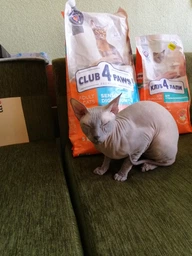 Сухий корм з куркою Club 4 Paws Клуб 4 Лапи для котів з чутливим травленням 2 кг (4820215368773) фото от покупателей 6