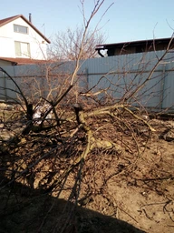 Пила садова Flora 240 мм (5023314) фото від покупців 3