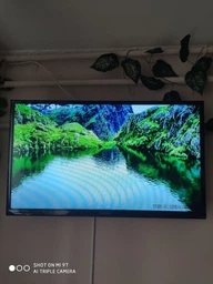 Телевизор Panasonic TX-40FSR500 фото от покупателей 19