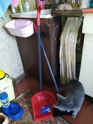 Набор для уборки Vileda совок с длинной ручкой + метла Vileda Dustpan & Broom (4023103158313) фото от покупателей 16