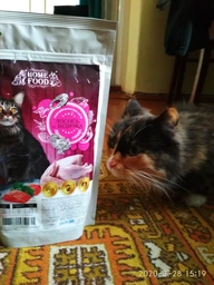 Сухой корм HOME FOOD здоровая кожа и блеск шерсти для взрослых кошек "Индейка и лосось" Healthy Skin And Shiny Coat 1.6 кг фото от покупателей 8