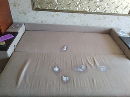 Засіб для очищення та догляду за килимами та м'якими меблями Glutoclean 0.5 л (4044899391913) фото від покупців 2
