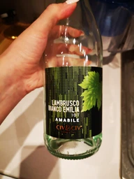 Вино игристое Le Foglie Lambrusco Bianco dell'Emilia Amabile белое полусладкое 0.75 л 8% (8001929315840)