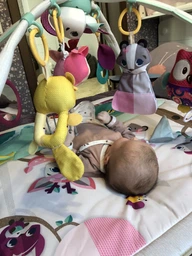 Килимок із дугами Tiny Love Мрії принцеси (1205506830) (7290108861198) фото від покупців 4