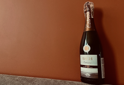 Вино ігристе Bach Cava Extrisimo Brut біле сухе 0.75 л 11.5% (8410013016929)