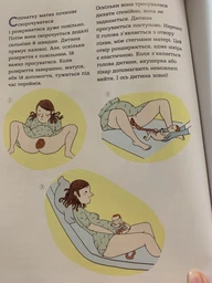 Енциклопедія статевого життя. 7-9 років - Крістіан Верду, Жан Коен, Жаклін Кан-Натан (9786170037909) фото от покупателей 1