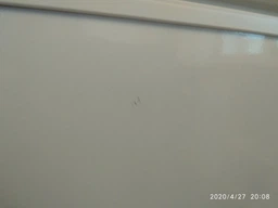 ELENBERG MF-100 фото від покупців 5