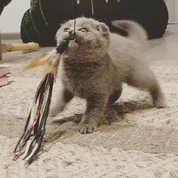Іграшка Trixie Вудочка з пір'ям і шкіряними смужками для котів, 50 см (натуральні матеріали) (1111116627)
