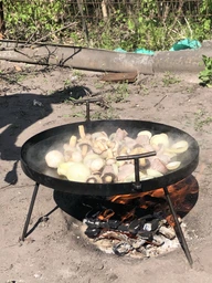 Мангал сковорода 50 см SHOP PAN з диску борони + кришка фото від покупців 1