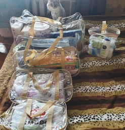 Набір 4+1 прозорих сумок в пологовий будинок Mommy Bag - S,M,L,XL - Бежевий + подарунок - органайзер