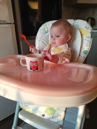 Стільчик для годування BABY TILLY Bistro T-641/2 Rose /1/ фото від покупців 9