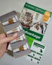 Краплі Elanco (Bayer) Адвантейдж 40 для котів до 4 кг піпетка від бліх 1 шт фото от покупателей 4