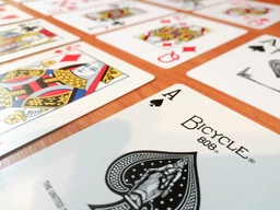 Карти гральні Duke Texas Hold'em, пластик, 54 листа 9.3х6.6х1.8 см Червоні (DN30766RED) фото від покупців 6