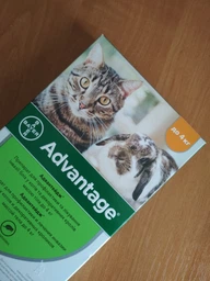 Краплі Elanco (Bayer) Адвантейдж 40 для котів до 4 кг піпетка від бліх 1 шт фото от покупателей 2