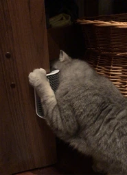 Іграшка Hagen для котів Catit Self Groomer 2.0 пластик арт.43152 (22517431528)