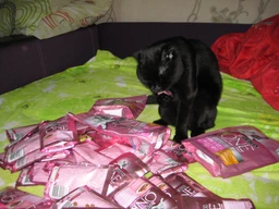 Упаковка влажного корма для котят Purina One Junior с лососем и морковью 26х85 г (7613287901965)
