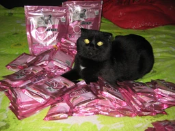 Упаковка влажного корма для котят Purina One Junior с лососем и морковью 26х85 г (7613287901965) фото от покупателей 1