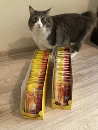 Вологий корм для котів Friskies Яловичина в підливі 100г фото від покупців 2