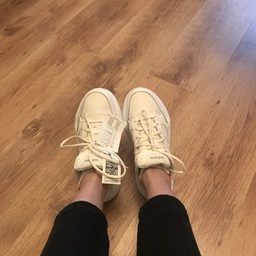 Жіночі кросівки Adidas Strutter GX0671 37.5 (4.5UK) 23 см Ftwwht/Sabemt/Halsil (4065418991421)
