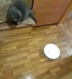 Робот пилосос Xiaomi Mi Robot Vacuum-Mop 1C