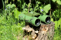 Бинокль Bassell 22x36 Green фото от покупателей 1