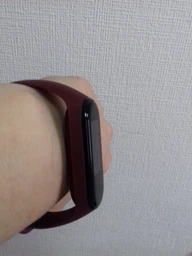 Ремінець Armorstandart для Xiaomi Mi Band 4 Flame (ARM55109)