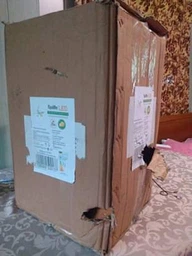 Люстра світлодіодна дерев'яна з вентилятором BKL-906S/18 H Brille 23-561 фото від покупців 2