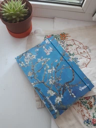 Скетчбук Manuscript V. Gogh 1890 Plus A5 Чистые 160 страниц с открытым переплетом (M - VG1890+) фото от покупателей 4