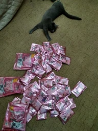 Упаковка влажного корма для котят Purina One Junior с лососем и морковью 26х85 г (7613287901965)