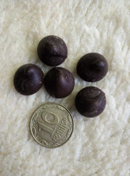 Шоколад бельгийский Callebaut №70-30-38 Экстрачерный в дропсах 400 г (5410522556575) фото от покупателей 13
