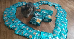 Консервований корм Purina One Adult З куркою та зеленою фасолею 24 шт х 85 г (7613038255743-24) фото від покупців 17