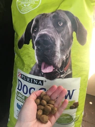 Сухий корм для дорослих собак великих порід Purina Dog Chow Adult Large Breed зі смаком індички 14 кг фото від покупців 18