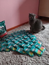 Сухой корм для взрослых стерилизованных кошек Purina One Sterilcat с говядиной 1.4 кг (8445291792401) фото от покупателей 16