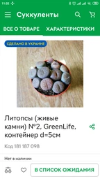 Литопсы (живые камни) №2, GreenLife, контейнер d=5см