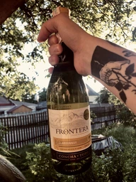 Вино Frontera Chardonnay белое полусухое 0.75 л (7804320642277)