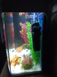 Внутренний фильтр AquaEl Fan 1 Plus для аквариума до 100 л (5905546030694) фото от покупателей 8