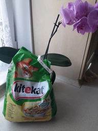 Сухий корм Kitekat для кішок, курка з овочами, 300 г фото від покупців 1
