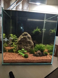 Акваріум Collar aGLASS Nano 27 л (0395) фото від покупців 15
