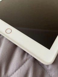 Силіконовий чохол обкладинка BBM1 для iPad 9,7 2017/2018 Сірий фото від покупців 2