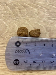 Сухий корм для дорослих активних собак від 1 року Carpathian Pet Food Active з куркою і скумбрією, 12 кг фото от покупателей 4