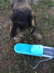 Бутылка поилка для собак Els Pet 300 мл для воды портативная в дорогу для выгула, Желтый (003-YELLOW) фото от покупателей 6