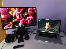 Монитор 23.8" Dell P2418D (210-AMPS)