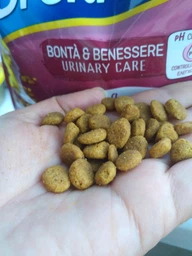 Сухий корм Brekkies Cat Urinary Care для кішок, профілактика сечокам'яної хвороби з куркою 1 кг (на вагу)