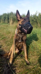 Trixie Muzzle намордник для собак L - чорний