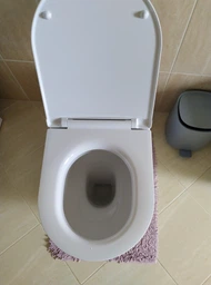 Унитаз-компакт напольный белый без бачка LAUFEN PRO без сиденья выпуск в стену H8259520000001